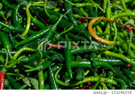 Vibrant array of fresh green and red chili peppers at a bustling market in mid-afternoon sunlight Vibrant array of fresh green and red chili peppers at a bustling market in mid-afternoon sunlight 133246158