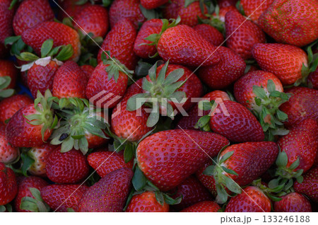 Freshly harvested strawberries in a vibrant market during the summer season 133246188
