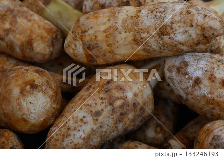 Harvest season brings fresh tubers ready for market in vibrant countryside 133246193