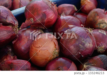 Freshly harvested red onions piled together at a vibrant farmer's market in the early morning sunlight 133246213