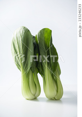 チンゲンサイ 133246233