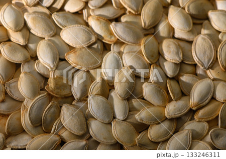 Harvested pumpkin seeds scattered across a rustic wooden table in the warm afternoon light 133246311