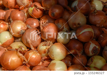 Fresh onions piled together in a vibrant market, showcasing their rich colors and textures at midday Fresh onions piled together in a vibrant market, showcasing their rich colors and textures at midday 133246327