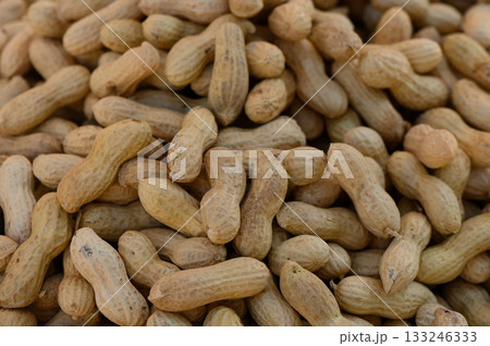 Pile of freshly harvested peanuts resting in the warm sunlight at a local farm in autumn Pile of freshly harvested peanuts resting in the warm sunlight at a local farm in autumn 133246333