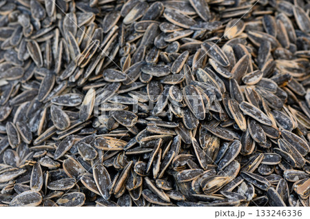 Sunflower seeds gathered in abundance during a sunny afternoon harvest 133246336