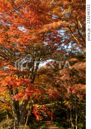 矢祭山公園の紅葉 矢祭山公園の紅葉 133246352