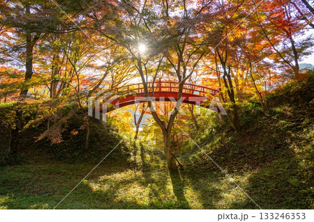 矢祭山公園の紅葉 矢祭山公園の紅葉 133246353