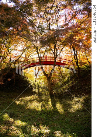 矢祭山公園の紅葉 133246354