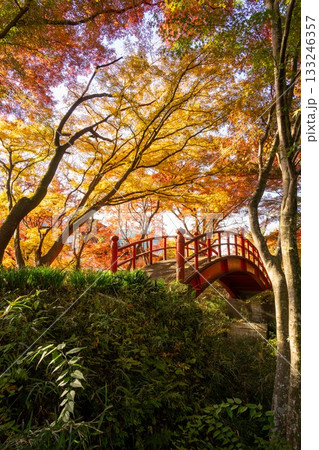 矢祭山公園の紅葉 133246357