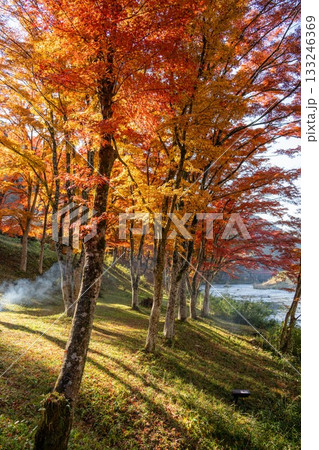 矢祭山公園の紅葉 矢祭山公園の紅葉 133246369