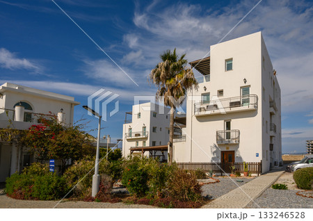 Modern white buildings with palm trees under a blue sky near the ocean 133246528