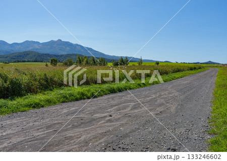 大雪高原 旭ヶ丘から望む大雪山系の風景 133246602
