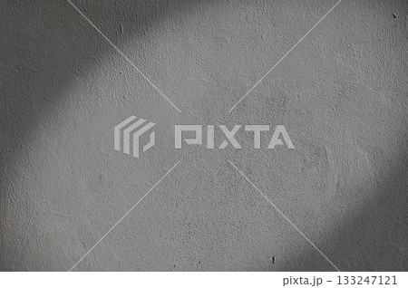Soft shadows dance across a textured gray wall in quiet, muted light during early morning hours Soft shadows dance across a textured gray wall in quiet, muted light during early morning hours 133247121