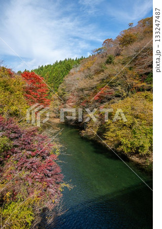 北茨城市　花園渓谷の紅葉 133247487