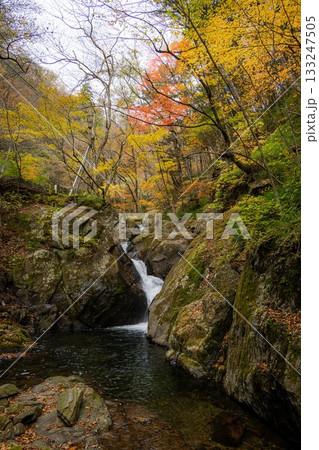 北茨城市　花園渓谷の紅葉 133247505