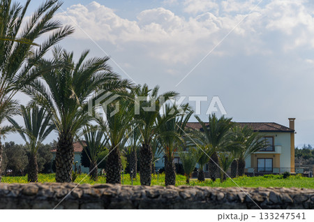 Lush palm trees frame a charming countryside house under a cloudy sky 133247541