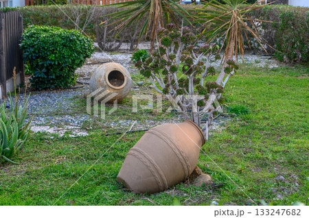 Clay pots transformed into unique garden planters in a lush outdoor setting Clay pots transformed into unique garden planters in a lush outdoor setting 133247682