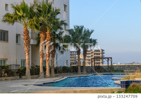 Lush palm trees surround a tranquil swimming pool in a modern residential complex at sunset Lush palm trees surround a tranquil swimming pool in a modern residential complex at sunset 133247709