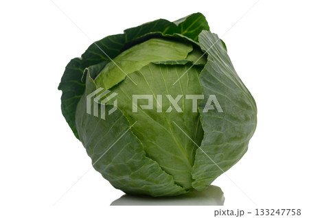 Organic Young Green Cabbage on White Background Organic Young Green Cabbage on White Background 133247758