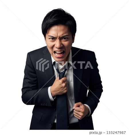 怒っているサラリーマン 怒っているサラリーマン 133247987