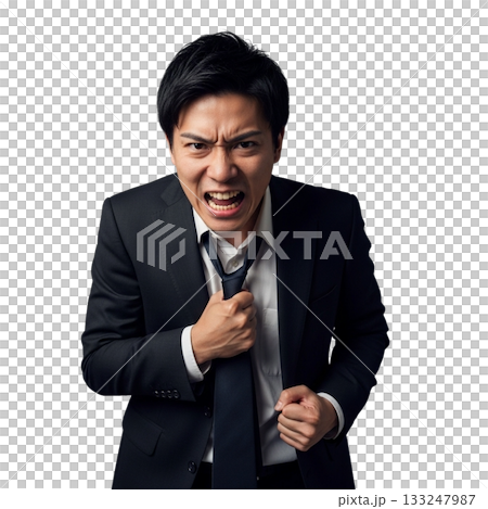 怒っているサラリーマン 怒っているサラリーマン 133247987