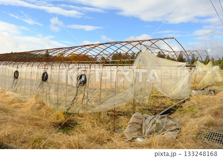 古びたビニールハウス 古びたビニールハウス 133248168