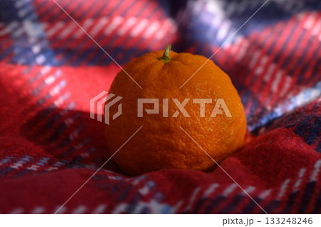 Vibrant orange resting on a cozy red and blue plaid blanket in soft sunlight 133248246