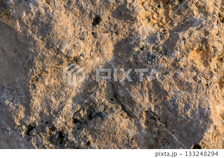 Ancient petroglyphs captured in sunlight reveal the artistry of prehistoric people 133248294
