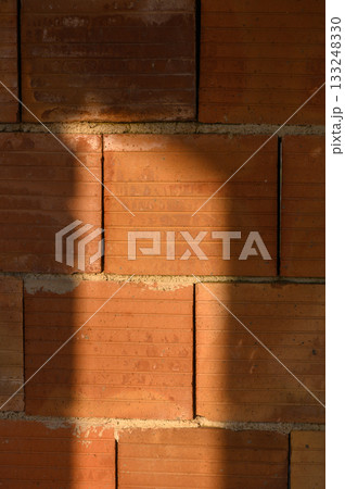 Shadows dance on the textured brick wall in warm afternoon light, creating a moment of quiet beauty 133248330