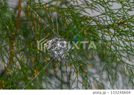 Sparkling decorative ornament hangs delicately from lush greenery in a serene indoor setting Sparkling decorative ornament hangs delicately from lush greenery in a serene indoor setting 133248604