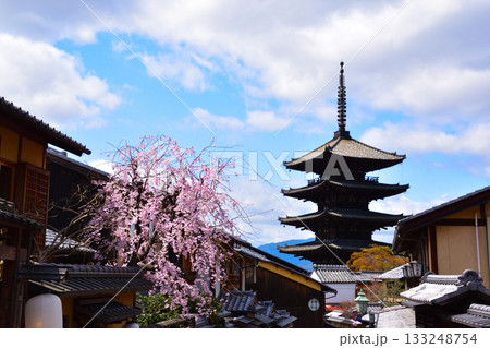 春　京都東山　法観寺　五重塔 133248754