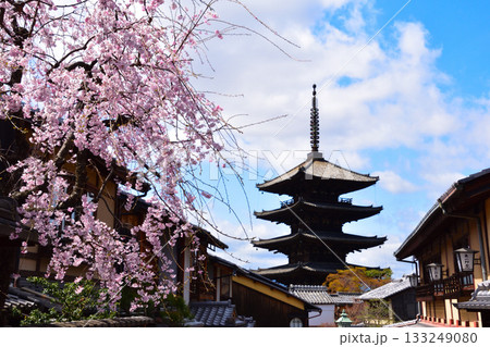 春 京都東山 法観寺 五重塔 春 京都東山 法観寺 五重塔 133249080