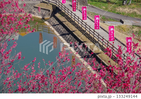 兵庫県南あわじ市　広田梅林ふれあい公園　梅まつり 133249144