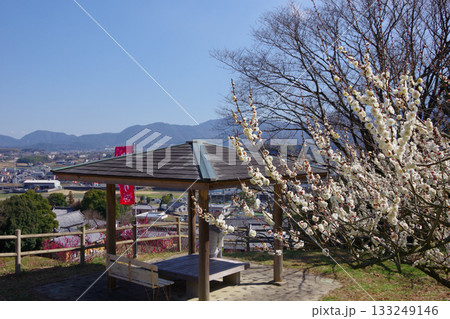 兵庫県南あわじ市 広田梅林ふれあい公園 兵庫県南あわじ市 広田梅林ふれあい公園 133249146