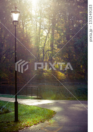 Sunbeams trough trees in park Sunbeams trough trees in park 133249183