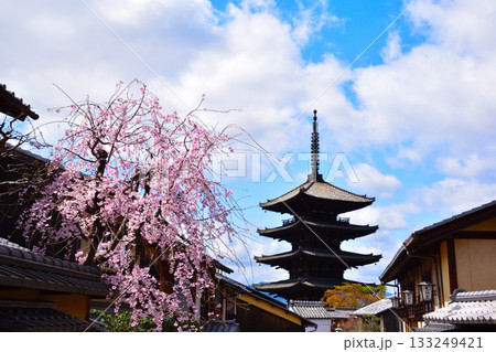 春 京都東山 法観寺 五重塔 春 京都東山 法観寺 五重塔 133249421