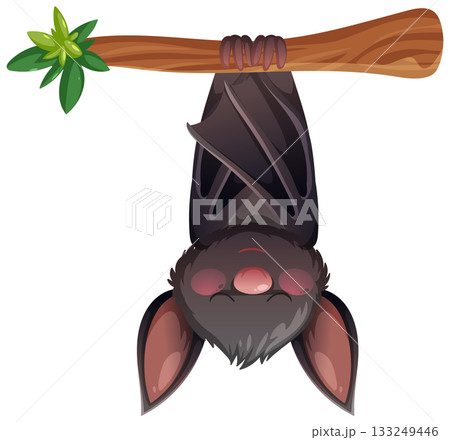 Cartoon Bat Hanging Upside Down from Tree Branch 133249446