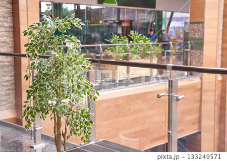 Indoor plant display and modern balcony railing in contemporary shopping mall 133249571