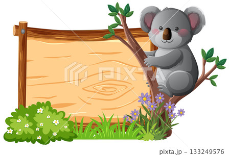 Cute Koala Sitting on Tree Beside Wooden Signboard 133249576