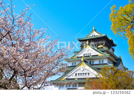春　大阪城 133250382
