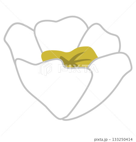 cute white flower illustration cute white flower illustration 133250414
