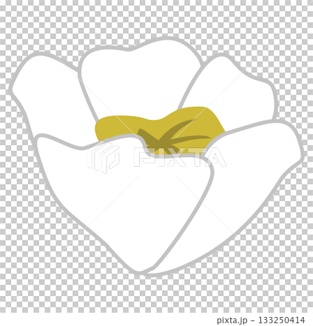 cute white flower illustration cute white flower illustration 133250414