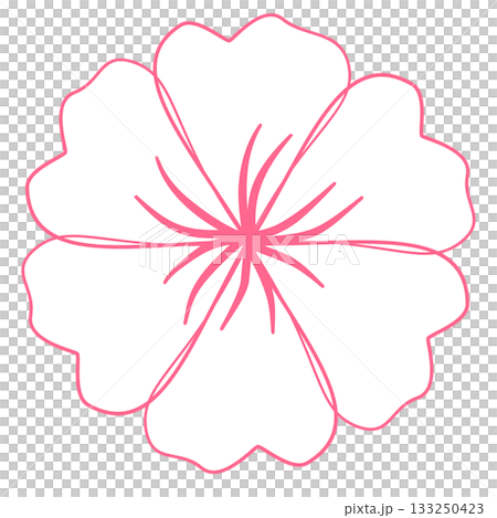 cute white flower illustration 133250423