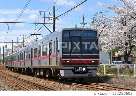 桜咲く瀬戸線を走る名鉄4000系 133250602