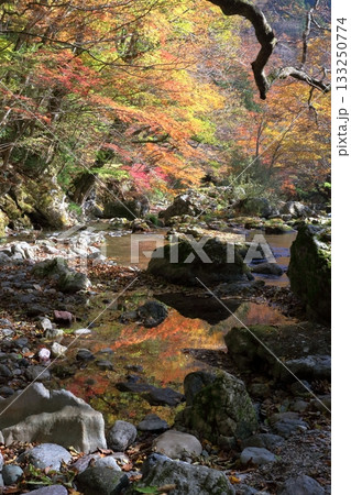 照紅葉　渓谷を彩る　（愛媛県　小田深山渓谷） 133250774