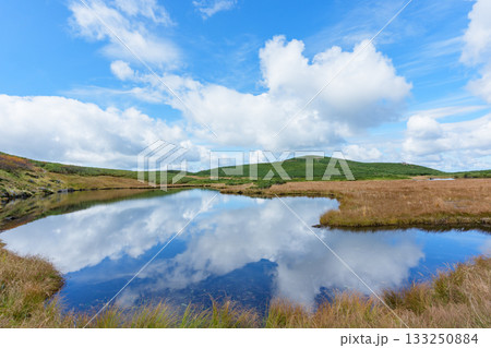大雪山・沼の平の草紅葉と池塘の秋景色（北海道） 133250884