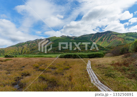 大雪山・沼の平の草紅葉と池塘の秋景色（北海道） 133250891