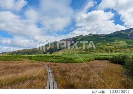 大雪山・沼の平の草紅葉と池塘の秋景色(北海道) 大雪山・沼の平の草紅葉と池塘の秋景色(北海道) 133250892
