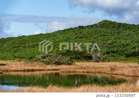 大雪山・沼の平の草紅葉と池塘の秋景色（北海道） 133250897