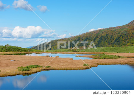 大雪山・沼の平の草紅葉と池塘の秋景色(北海道) 大雪山・沼の平の草紅葉と池塘の秋景色(北海道) 133250904